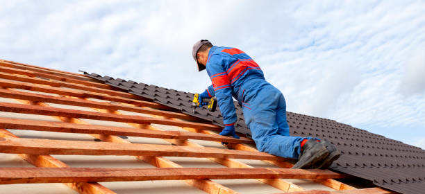 Professional  Roofing repair and installation in Vamo, FL