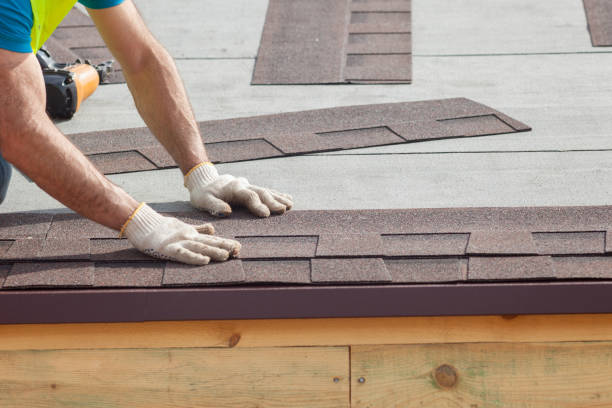 Best Roof Coating and Sealing  in Vamo, FL