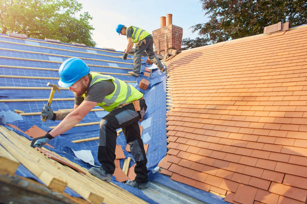 Best Emergency Roof Repair Services  in Vamo, FL